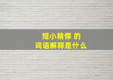 短小精悍 的词语解释是什么